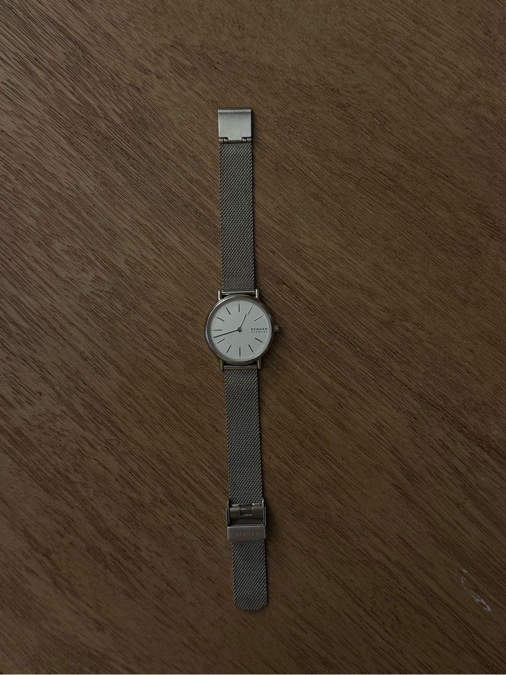Skagen Silver Mesh Women’s Watch with White Dial